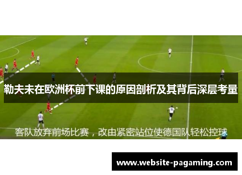 勒夫未在欧洲杯前下课的原因剖析及其背后深层考量