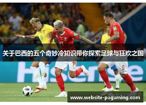 关于巴西的五个奇妙冷知识带你探索足球与狂欢之国 关于巴西的五个奇妙冷知识带你探索足球与狂欢之国