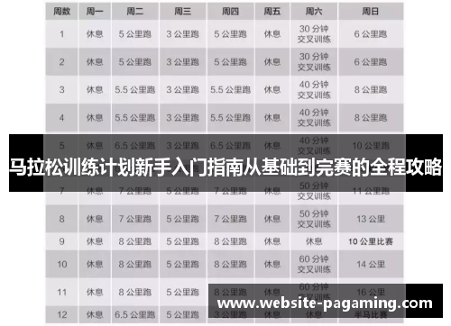 马拉松训练计划新手入门指南从基础到完赛的全程攻略 马拉松训练计划新手入门指南从基础到完赛的全程攻略