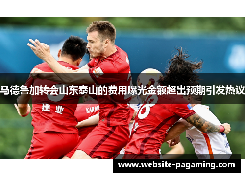 马德鲁加转会山东泰山的费用曝光金额超出预期引发热议