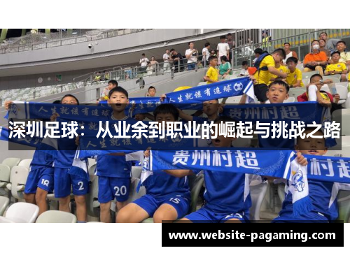 深圳足球：从业余到职业的崛起与挑战之路