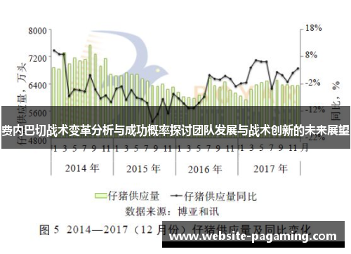费内巴切战术变革分析与成功概率探讨团队发展与战术创新的未来展望