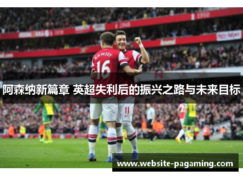 阿森纳新篇章 英超失利后的振兴之路与未来目标